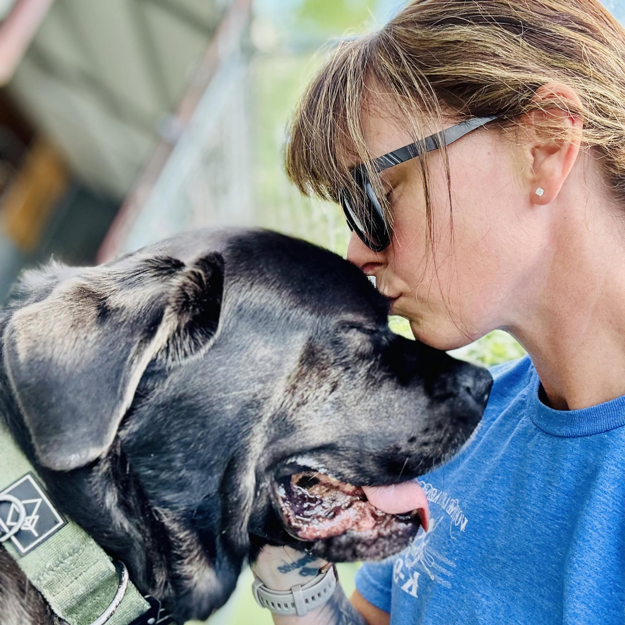 Woman kissing a black rescue dog on the forehead