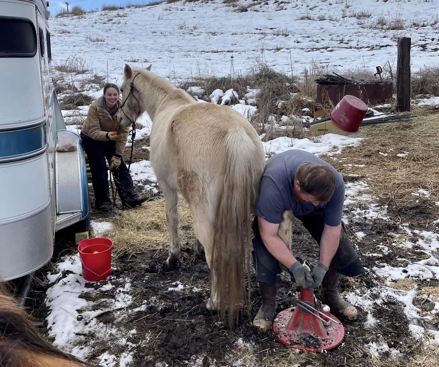 Volunteer assisting with horse care