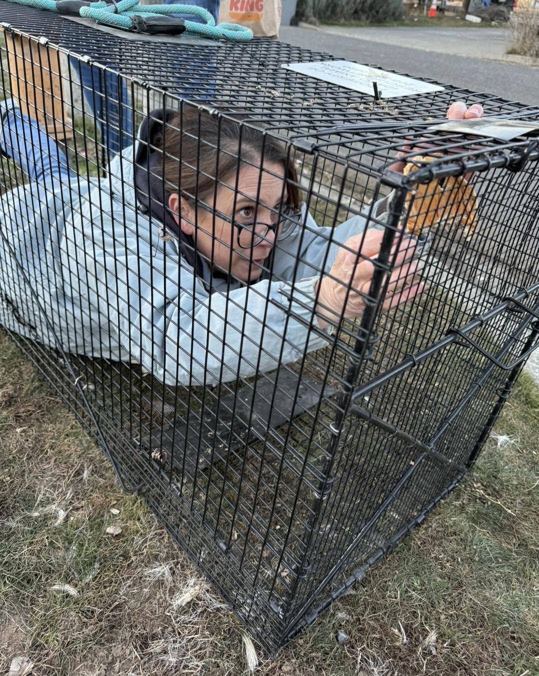 Volunteer assisting during field animal rescue