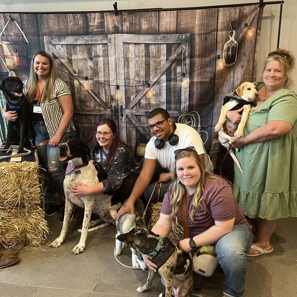 IARN volunteers and supporters gathering with rescue dogs at a community fundraiser