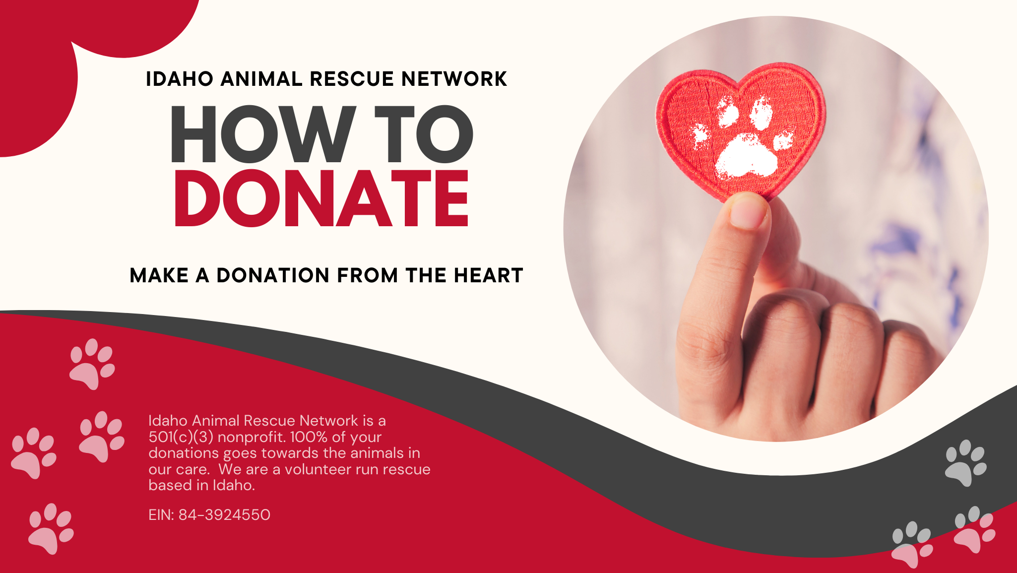 Donate to Idaho Animal Rescue Network