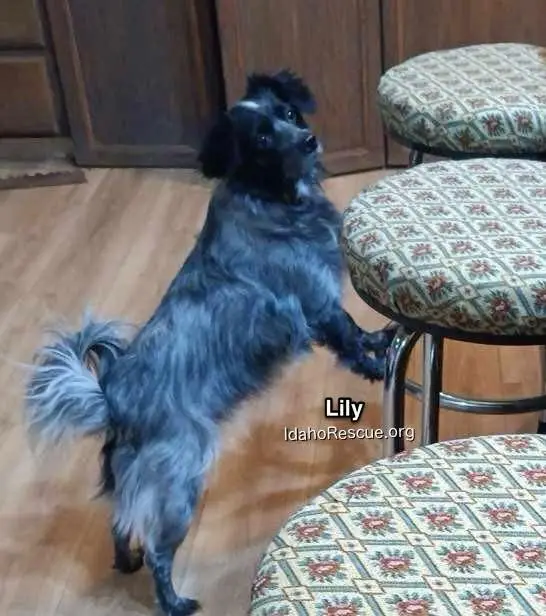 Tumble3.jpg