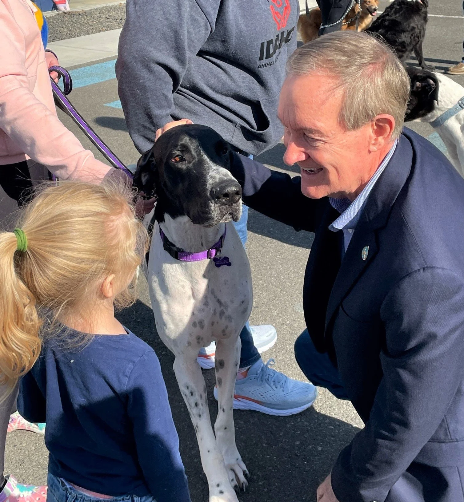 U.S. Senator Mike Crapo greeting an IARN Great Dane at the Spirit of Idaho Award presentation