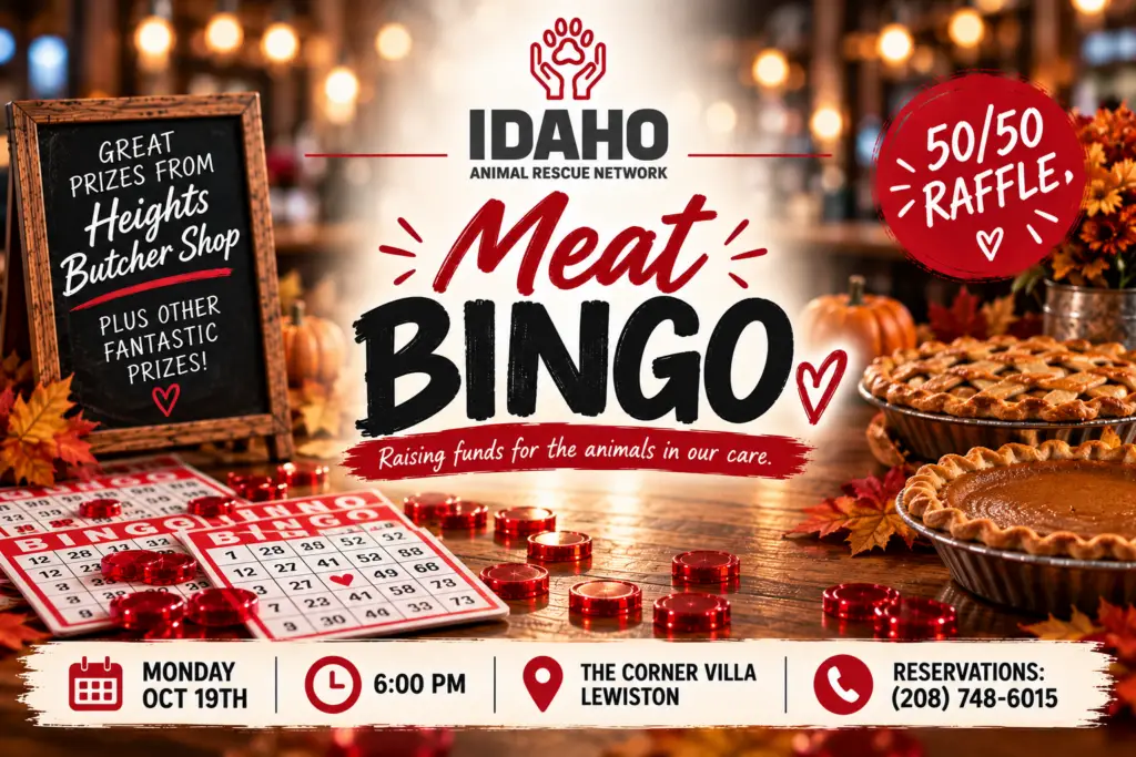 IARN Meat Bingo Fundraiser event flyer