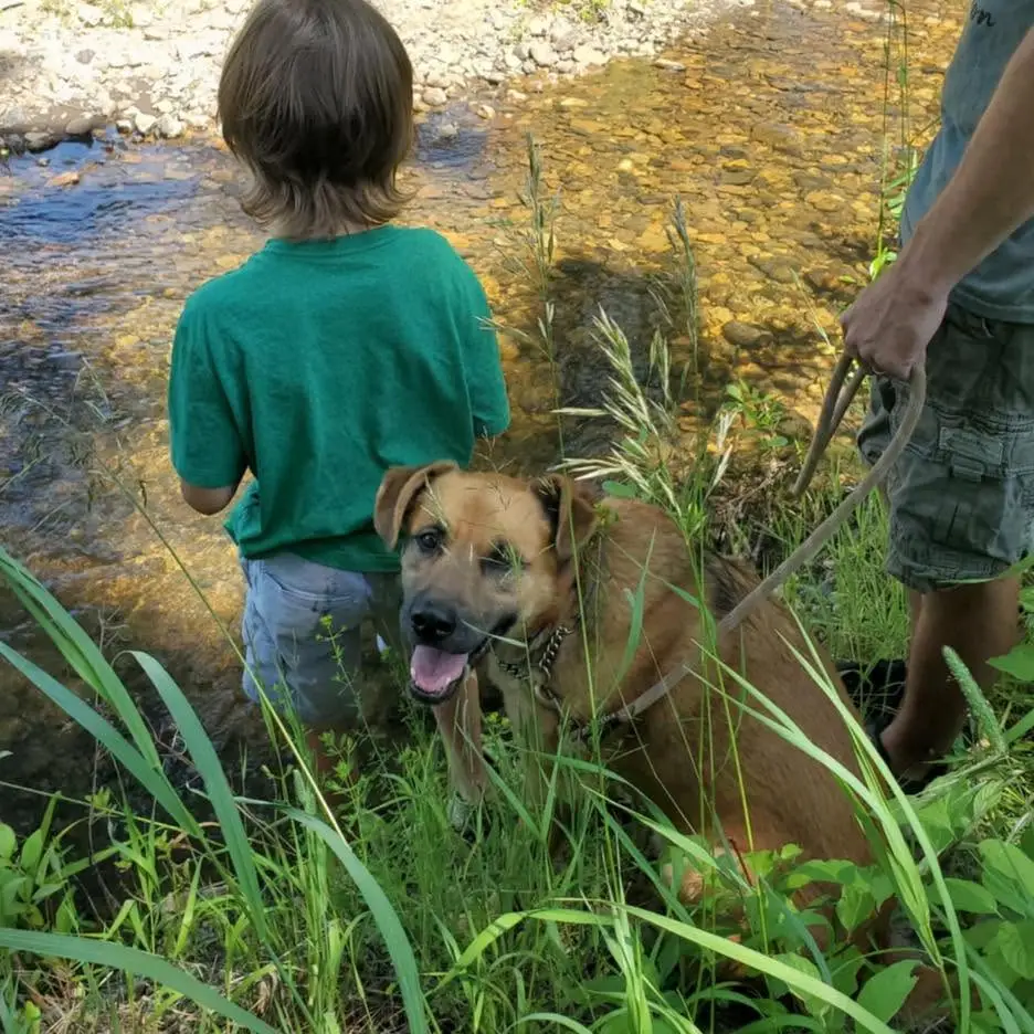 Rescued dog beside a child and adult in tall grass near a creek