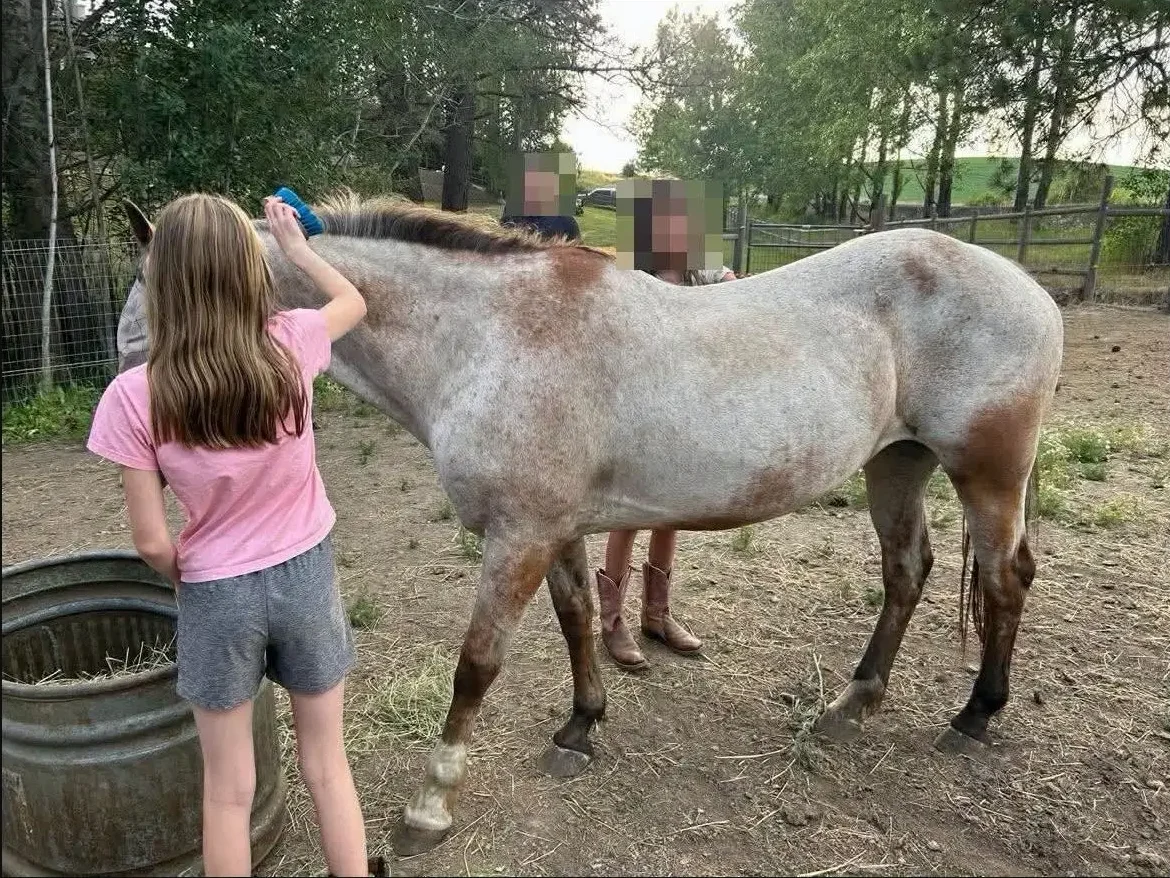Surgery and foster recovery · July 7
