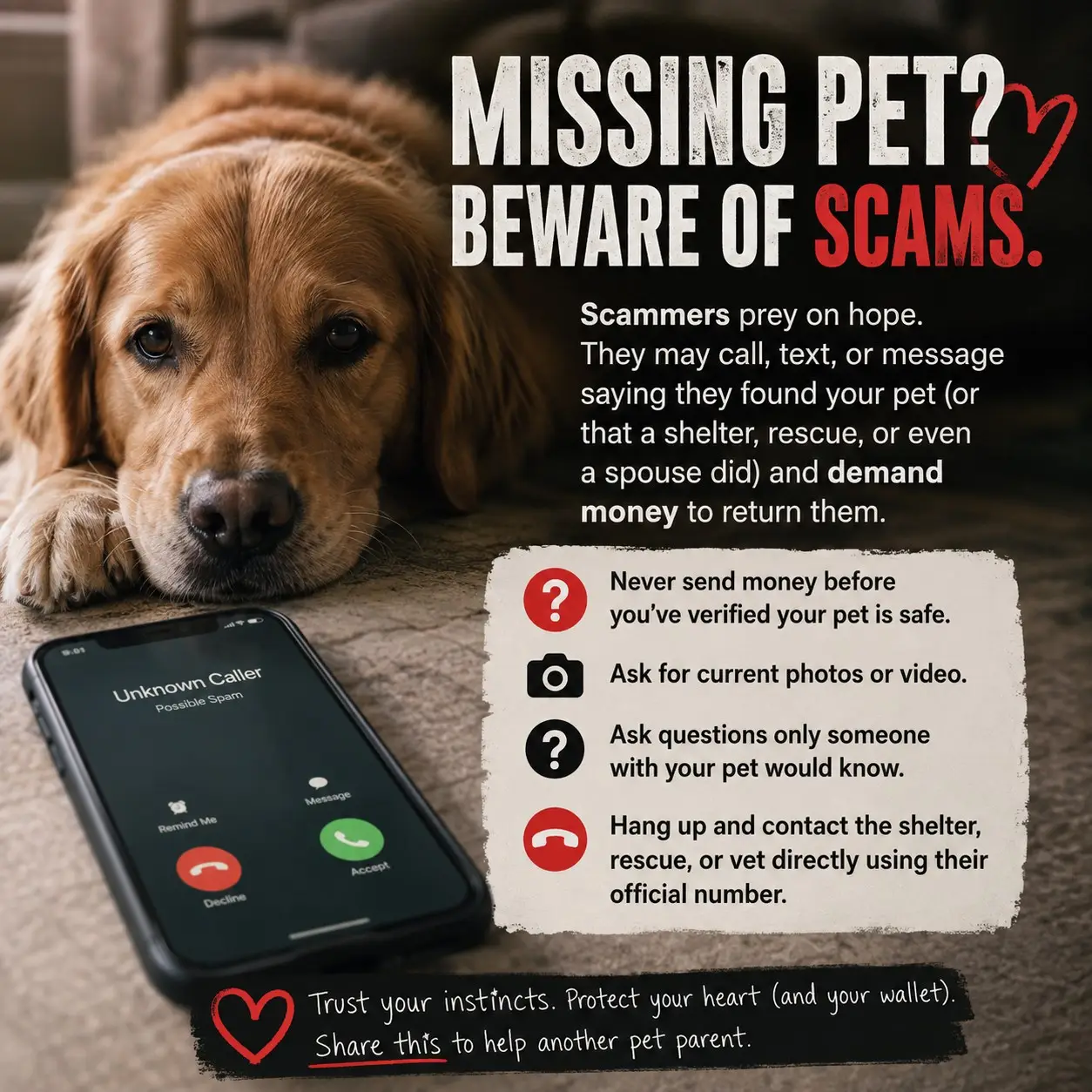 Lost pet scam warning: verify the pet, request current photos or video, and call shelters or veterinary clinics using their official number.